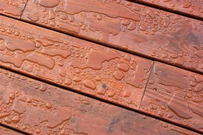 Prevent Damage From Weathering!